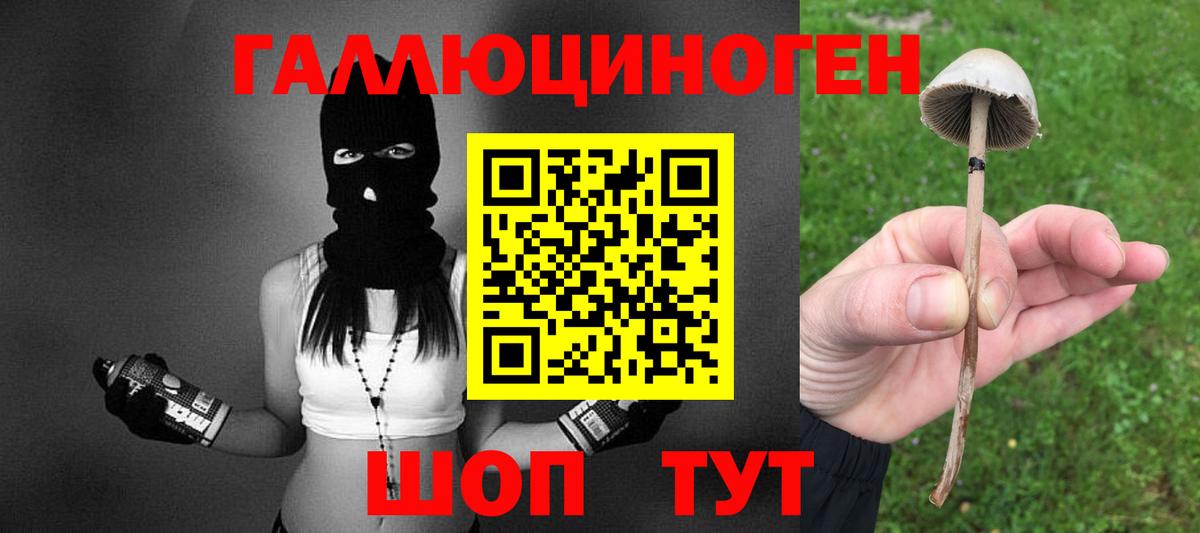 Мирный  Псилоцибиновые грибы MAGIC MUSHROOMS  Вход с VPN 